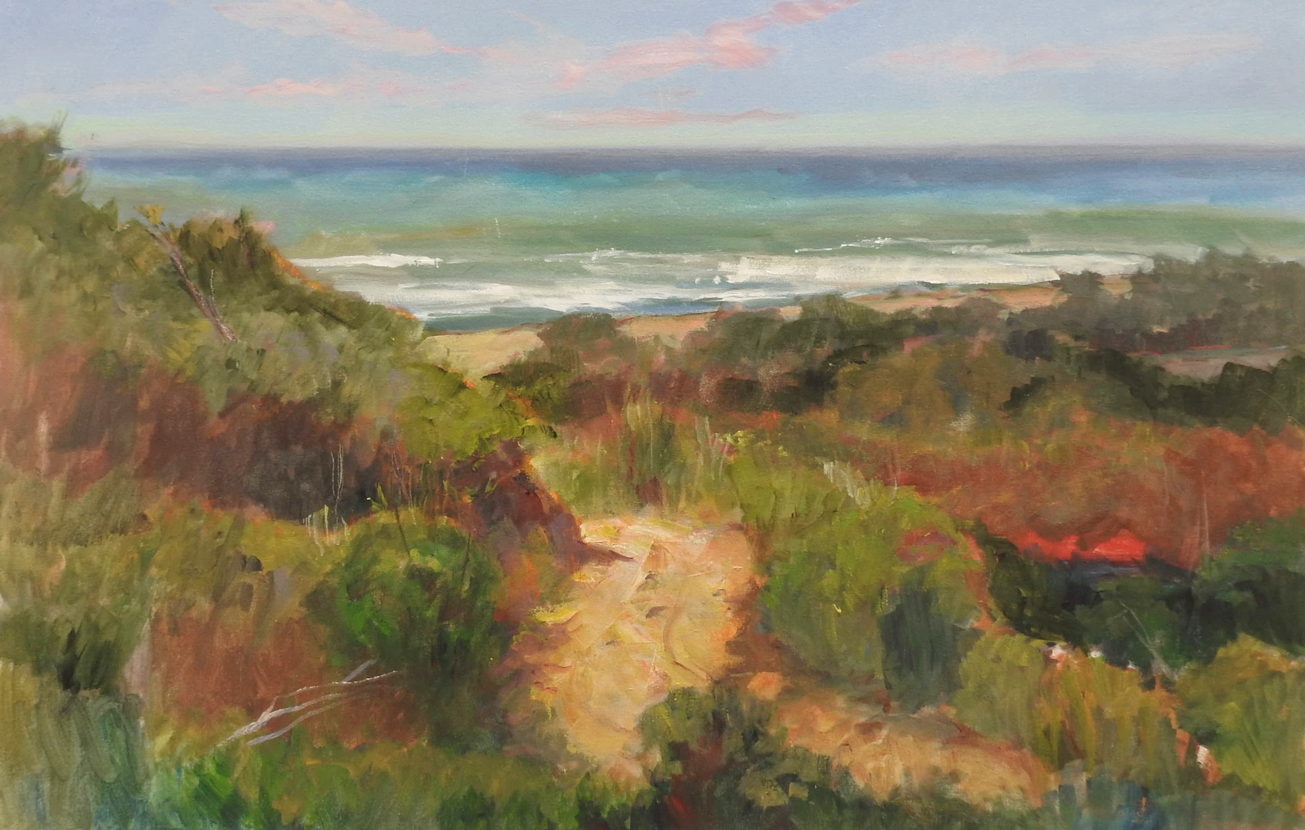 Trestles Trail by Rick J. Delanty
